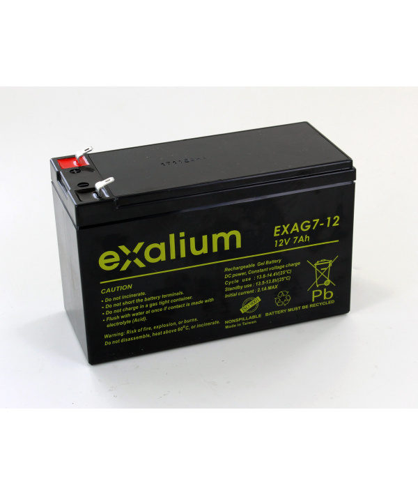 Verblinding onvergeeflijk statistieken Lead 12V 7Ah Exalium EXAG7-12 Gel battery