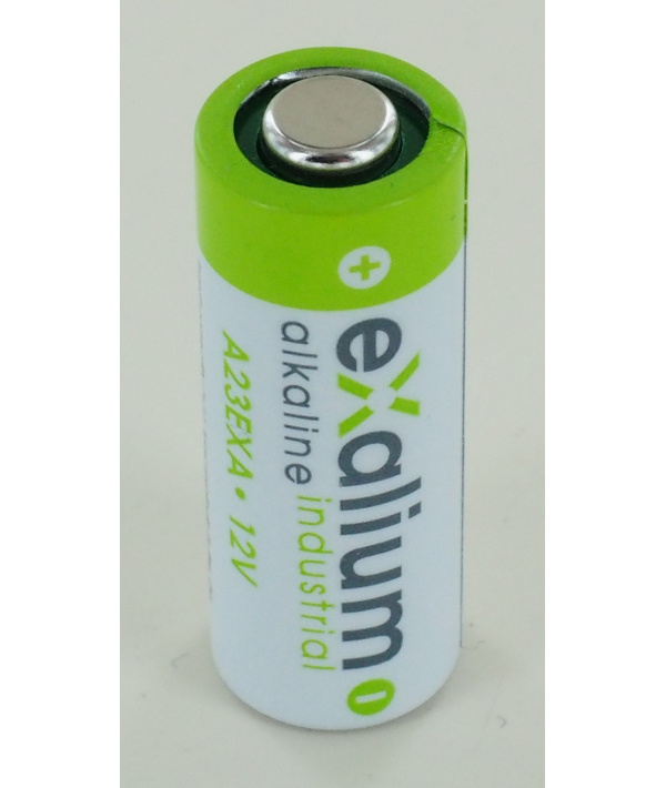 esthetisch Voorkomen Uitvoerbaar Alkaline battery 12V V23GA, P23GA A23 EXALIUM