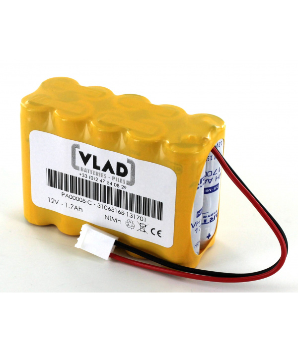 Batterie 12V 2.1Ah pour ECG 302 KENZ CARDICO - Vlad