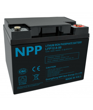 Batterie 12.8V 50Ah LFP 640Wh M6 NPP LFP12.8-50