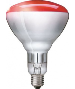 Philips BR125 IR 250W E27 230-250V Rosso 1CT/10 Lampada