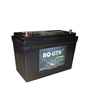 12,8 V 100 Ah Li-Ion LIFEPO4 1280 Wh Akku