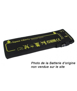 Ricondizionamento batteria 48v Equus Liberty di prima generazione